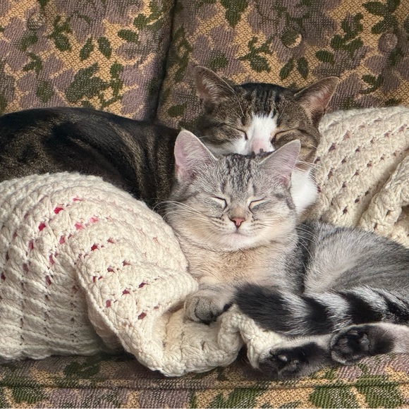 Meet your Posher, Kimmy - Picture 6 of 6